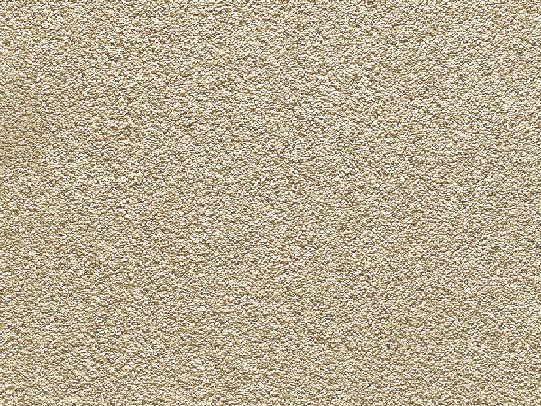Royal Feel Broadloom, Wall to wall carpet, Broadlloom carpet, office carpet, roll carpet, heavy contract carpet