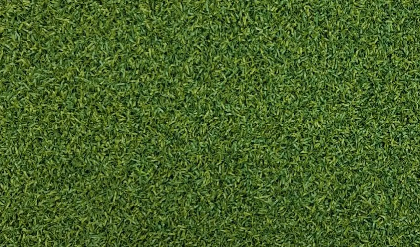 Grass carpet - Play, artificial grass, fake grass, outdoor grass, garden grass, lawn grass, event grass, exhibition grass, Astroturf, budget grass