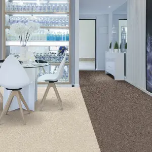 Broadloom carpet, roll carpet, office carpet, commercial carpet