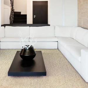 Broadloom carpet, roll carpet, office carpet, commercial carpet