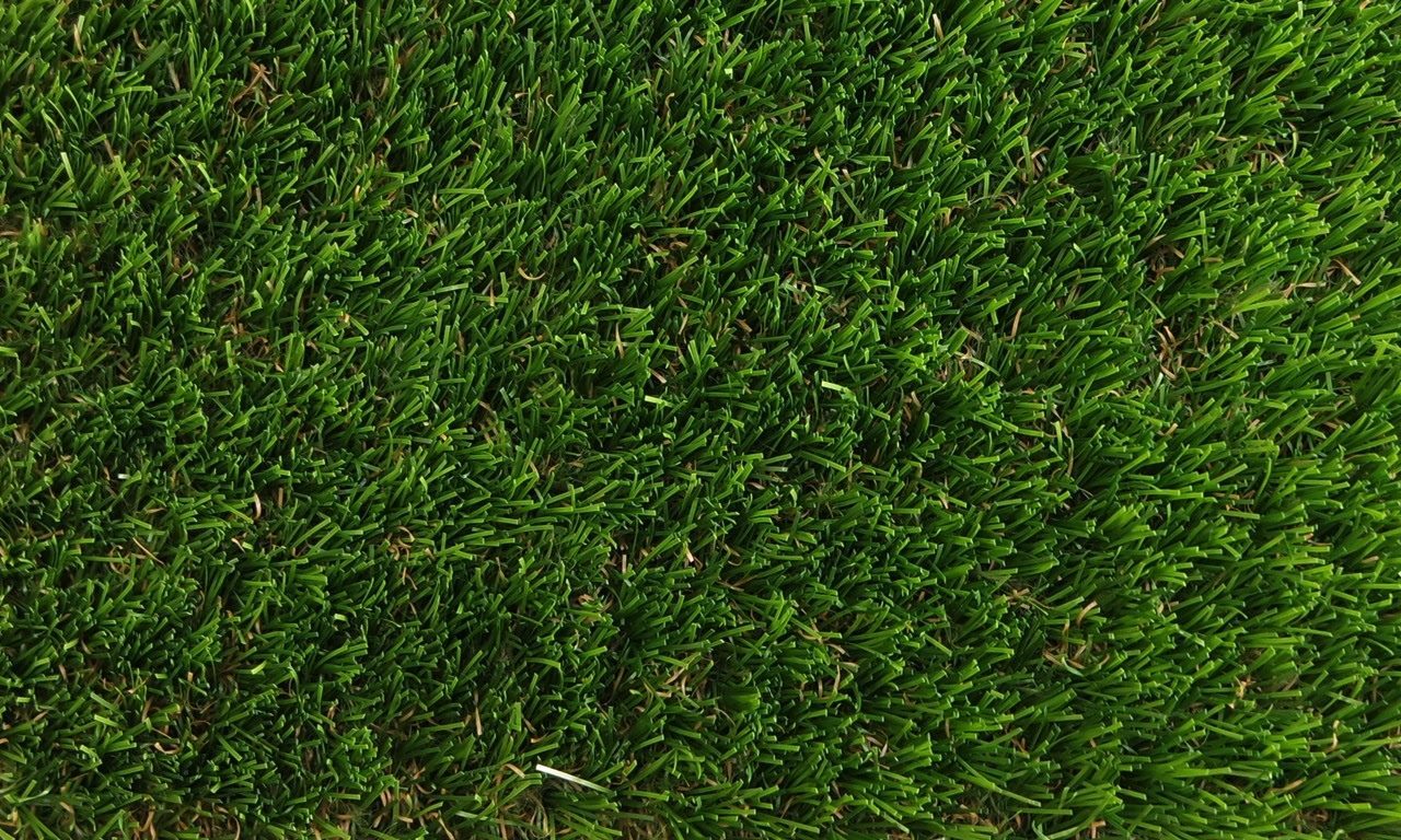 Grass carpet - Sierra Deluxe, artificial grass, fake grass, outdoor grass, garden grass, lawn grass, event grass, exhibition grass, Astroturf, Tigerturf, budget grass