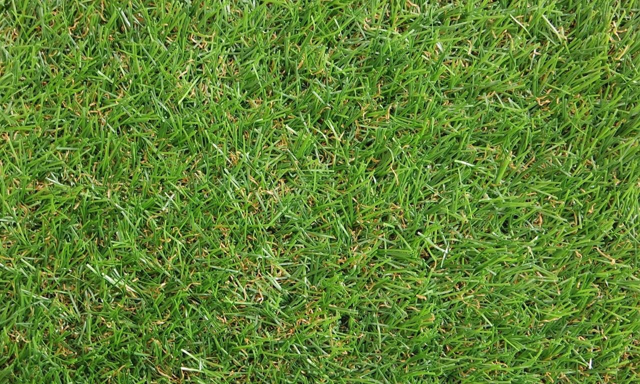 Grass carpet - Spring, artificial grass, fake grass, outdoor grass, garden grass, lawn grass, event grass, exhibition grass, budget grass