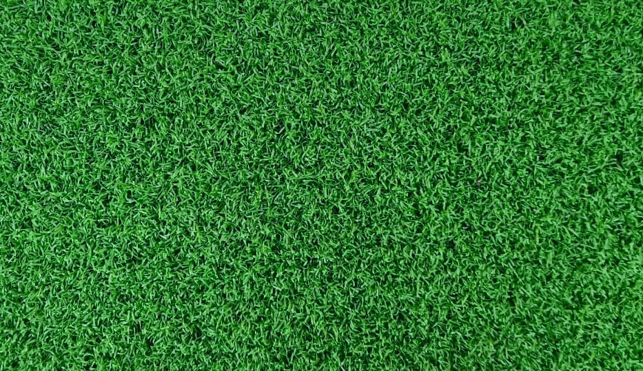 Grass carpet - Spring, artificial grass, fake grass, outdoor grass, garden grass, lawn grass, event grass, exhibition grass, budget grass